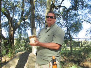 A ceramic jar with metal lid recovered from Mitchelville